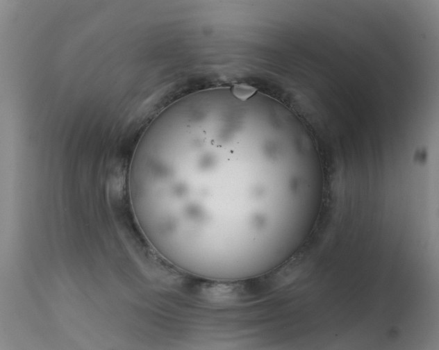 X0000111240129200907091409