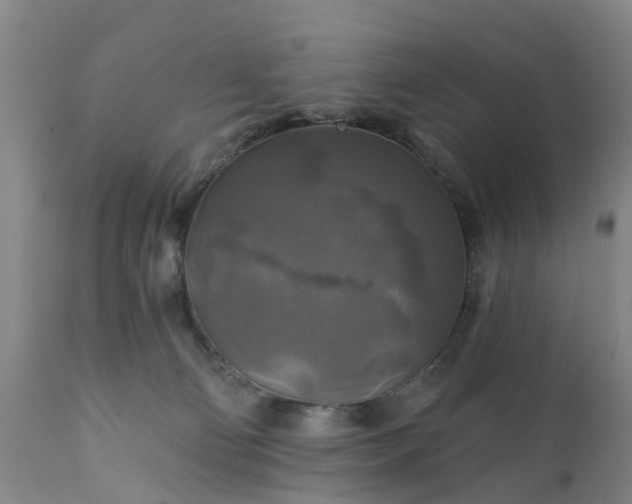 X0000111240130200907091409