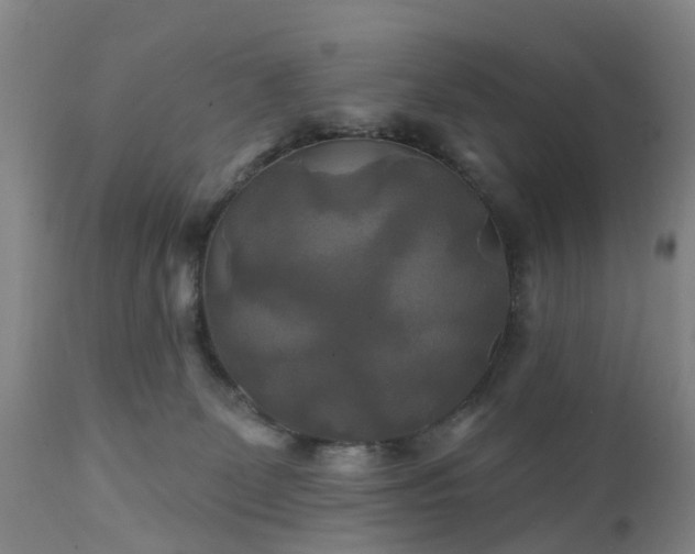 X0000111240131200907091409