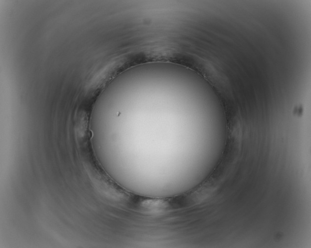 X0000111240133200907091408