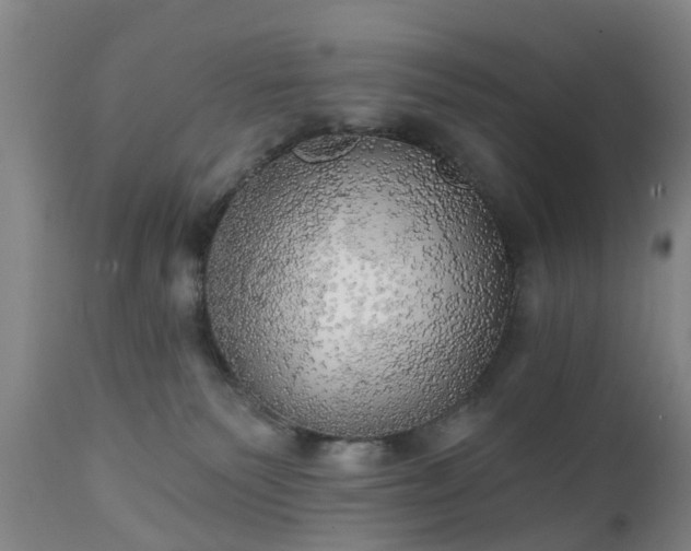 X0000111240135200907091408