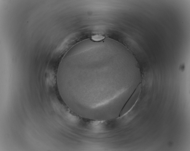 X0000111240136200907091408