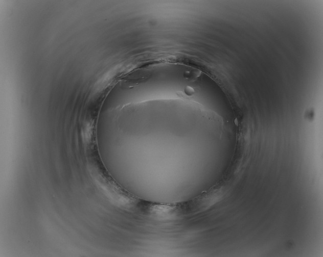 X0000111240139200907091408