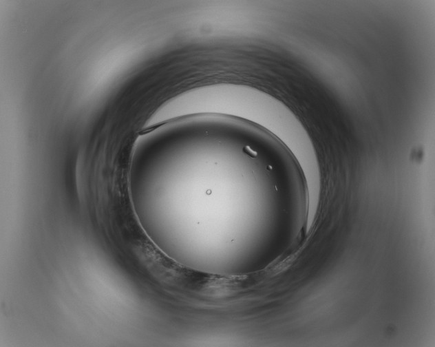 X0000111240140200907091408