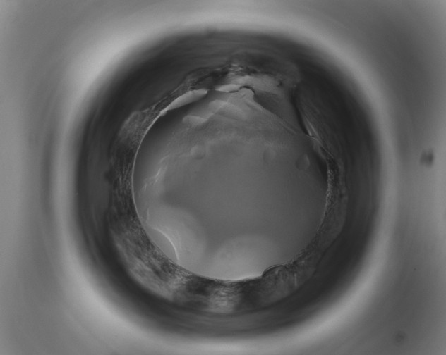 X0000111240143200907091408