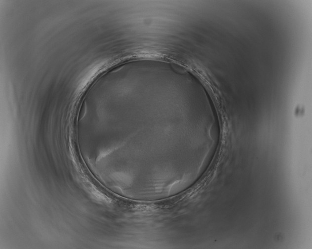 X0000111240145200907091408