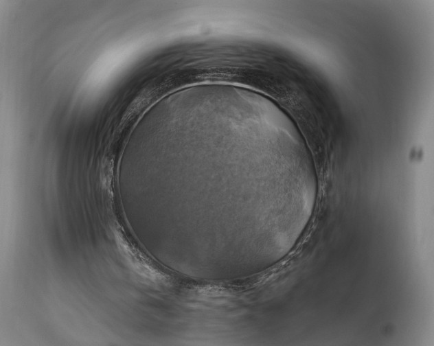 X0000111240146200907091408