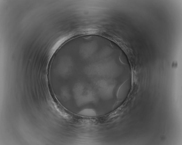 X0000111240147200907091408