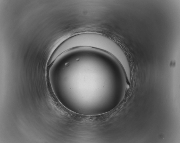 X0000111240148200907091408