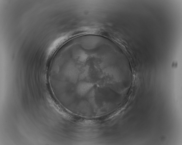 X0000111240149200907091408