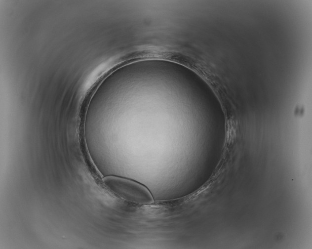 X0000111240150200907091408