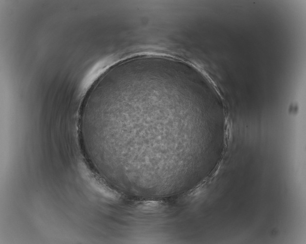 X0000111240151200907091408