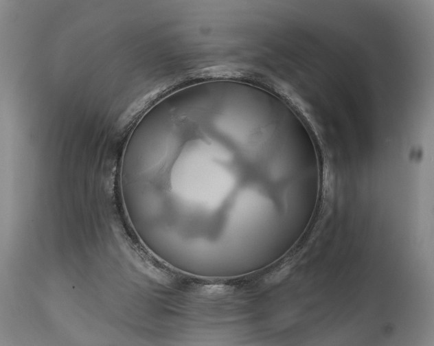 X0000111240153200907091408