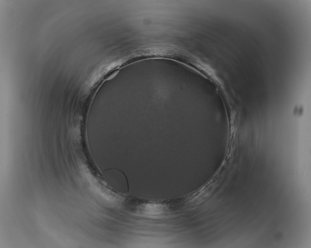 X0000111240154200907091408