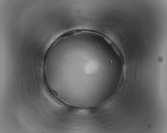 X0000111240156200907091408