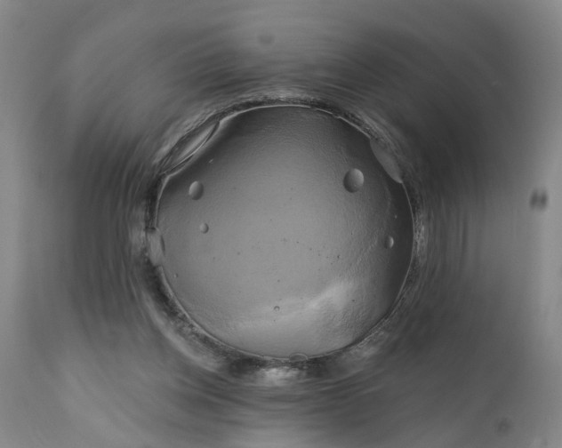 X0000111240158200907091408