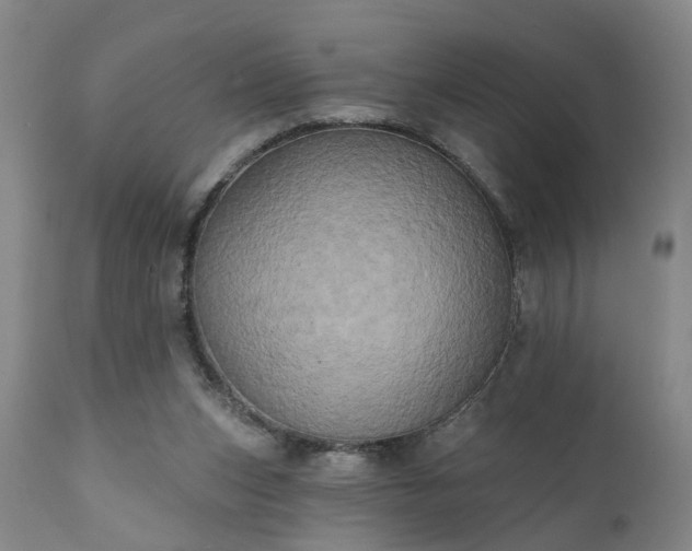 X0000111240159200907091408