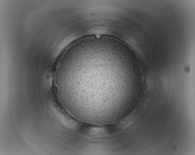 X0000111240160200907091408