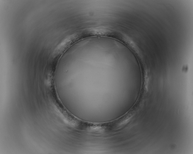 X0000111240161200907091408