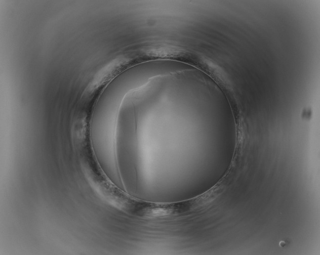 X0000111240163200907091408