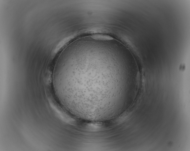 X0000111240164200907091408