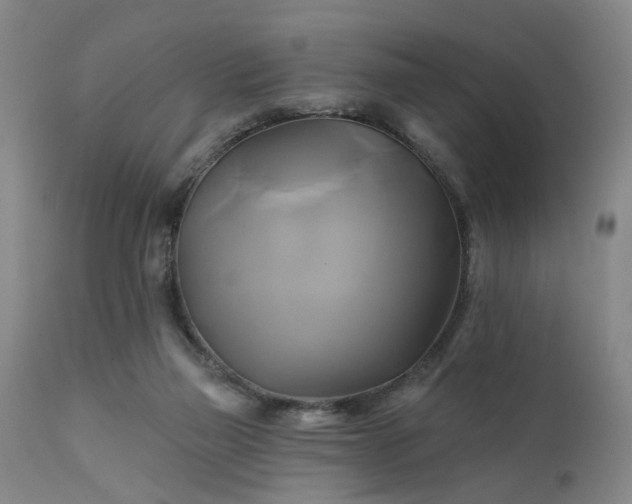 X0000111240165200907091408