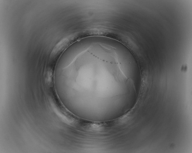 X0000111240166200907091408