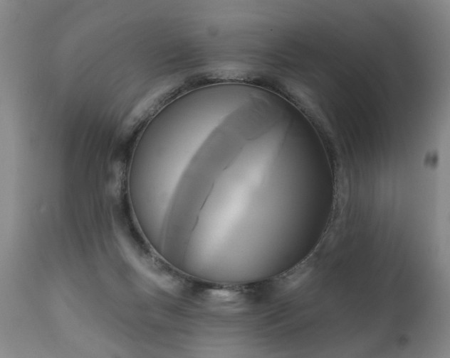 X0000111240167200907091408