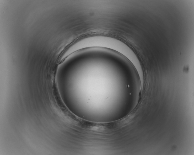 X0000111240168200907091408