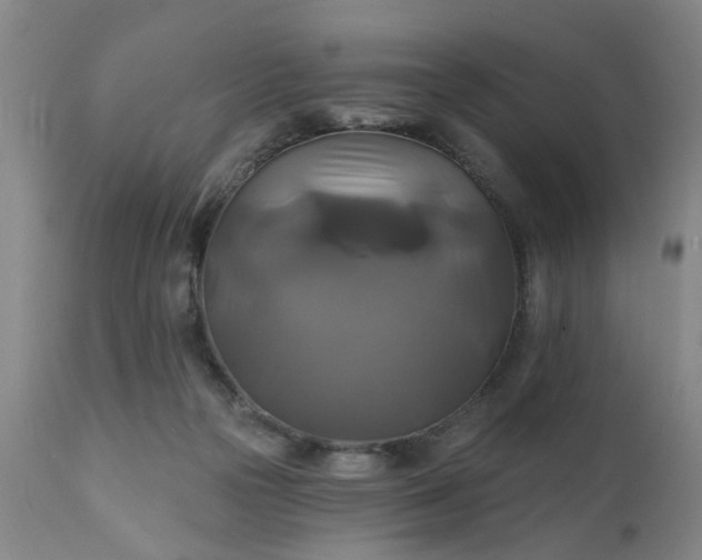 X0000111240169200907091408