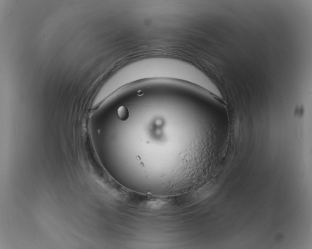 X0000111240172200907091408