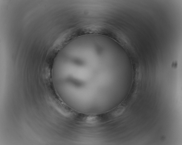 X0000111240173200907091408