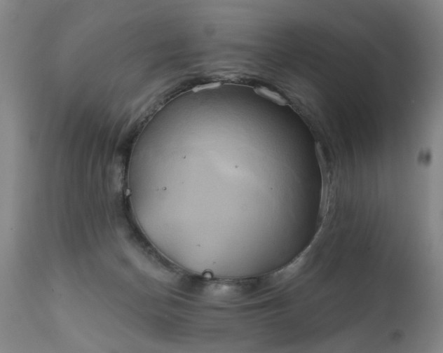 X0000111240174200907091408