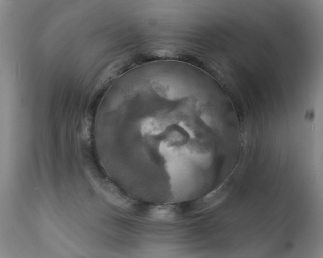 X0000111240175200907091408