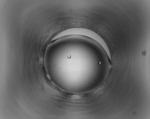 X0000111240176200907091408