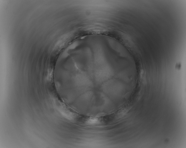 X0000111240177200907091408