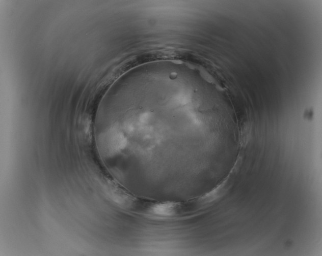 X0000111240178200907091408