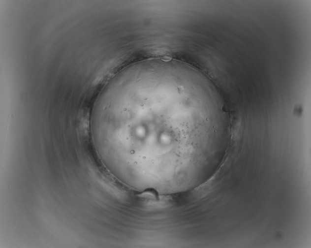 X0000111240179200907091408