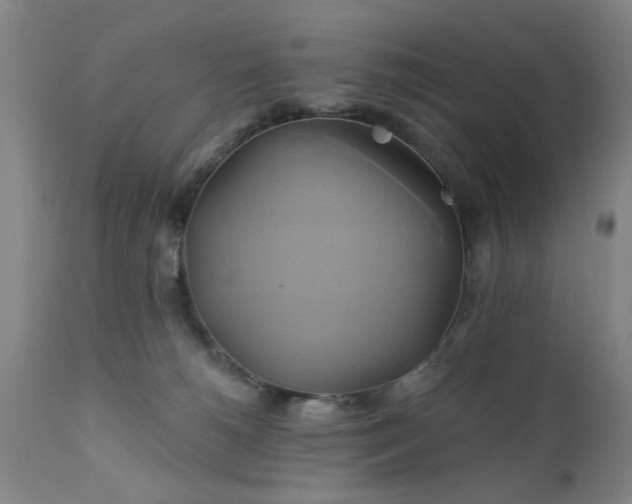 X0000111240180200907091408