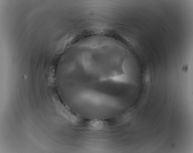 X0000111240181200907091408