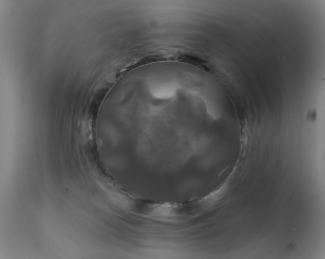 X0000111240182200907091408