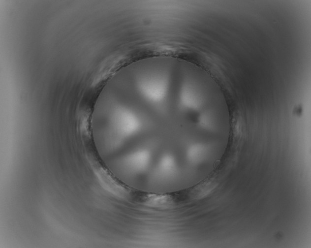 X0000111240185200907091408