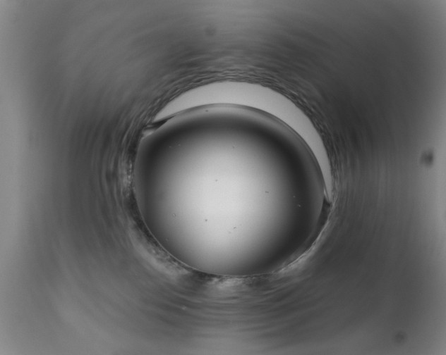 X0000111240186200907091408