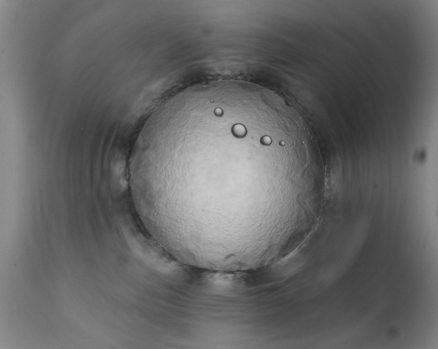 X0000111240187200907091408