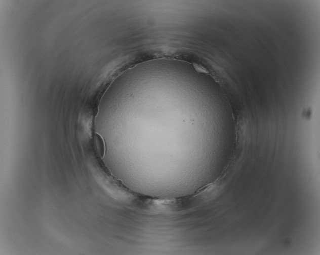 X0000111240188200907091408