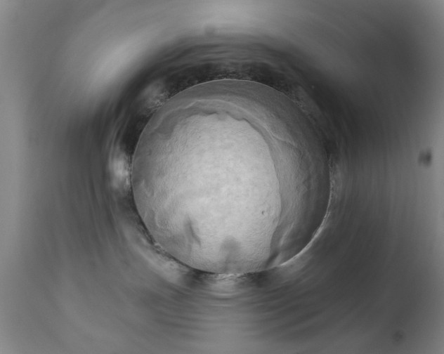 X0000111240191200907091408