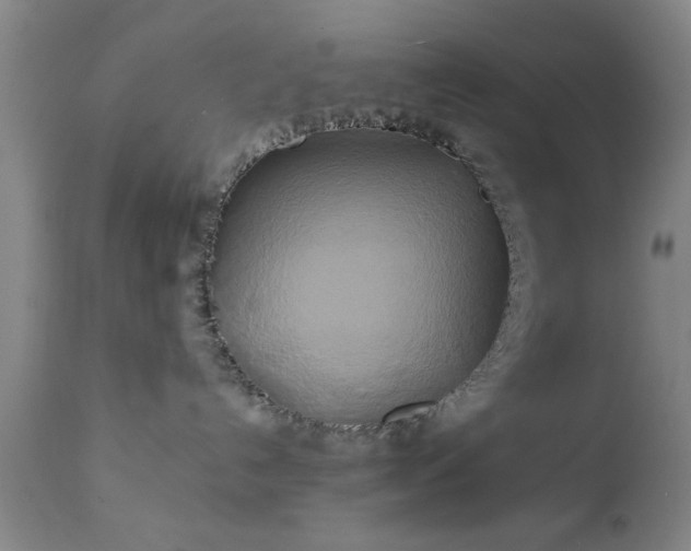 X0000111240192200907091408