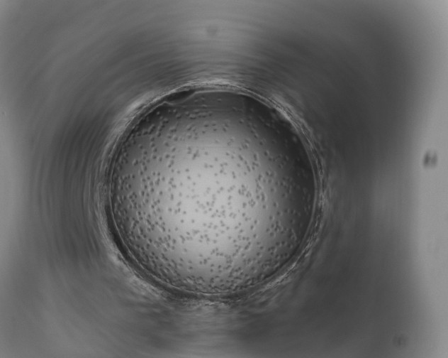 X0000111240193200907091408