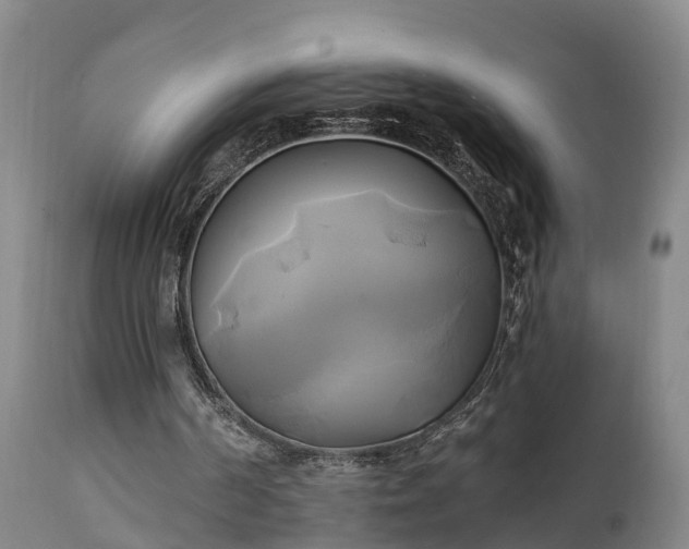 X0000111240194200907091408