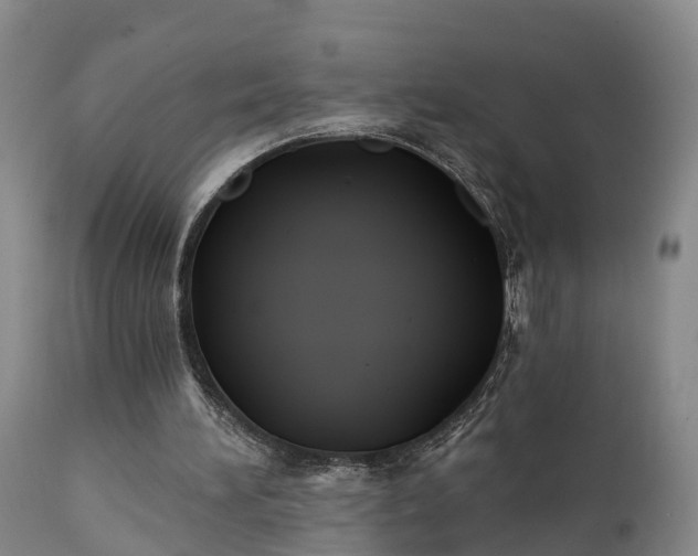 X0000111240196200907091408